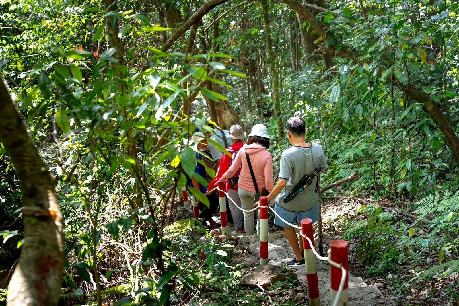 A group of tourists walking down a lush forest path surrounded by tropical foliage.