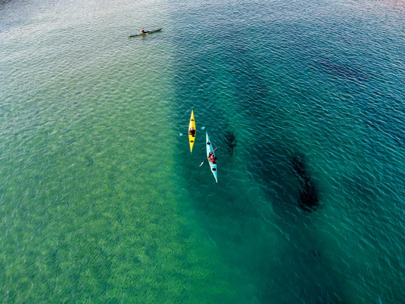 Drone shot capturing kayakers paddling in clear ocean waters, perfect for adventure and travel themes.