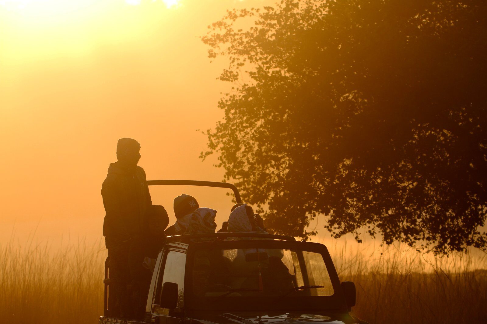 Silhouette of travelers on a safari jeep during a golden sunrise, creating a serene and adventurous mood.